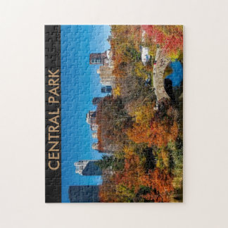 CENTRALE PARK PUZZLE LEGPUZZEL