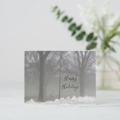 Centrale Park winter sneeuw en mist Briefkaart (Staand voorkant)