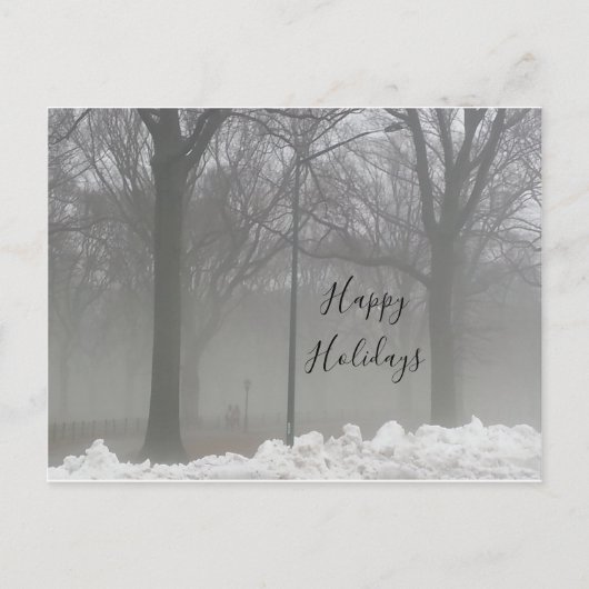 Centrale Park winter sneeuw en mist Briefkaart (Voorkant)