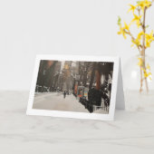 CENTRALE PARK ZOO IN DE SNEE KAART (Gele Bloem)