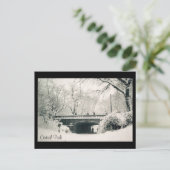 centrale parksneeuw briefkaart (Staand voorkant)