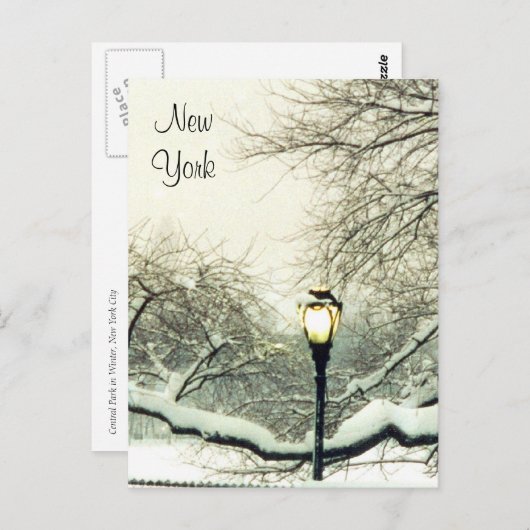 centrale sneeuwboom briefkaart (Voorkant / Achterkant)