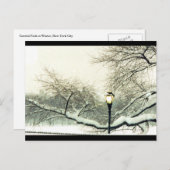 centrale winterboom briefkaart (Voorkant / Achterkant)