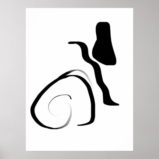 Centrifugecyclus: Abstract zwart-wit Poster (Voorkant)