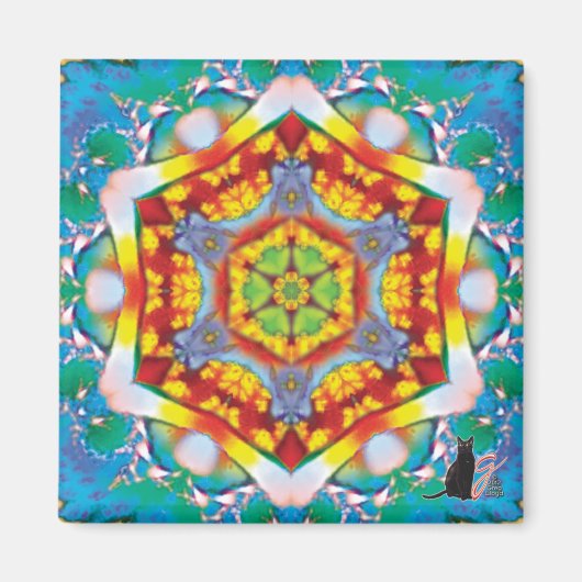 Centris Kaleidoscope Magnet (Voorkant)