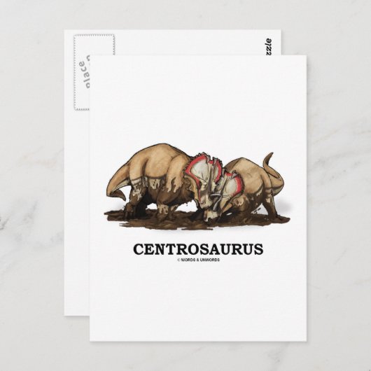 Centrosaurus Briefkaart (Voorkant / Achterkant)