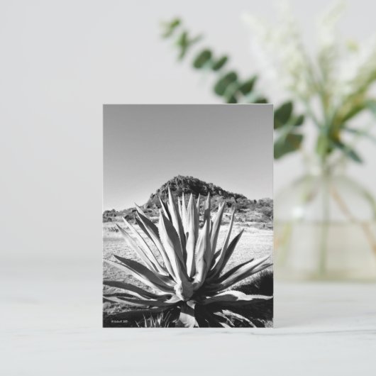 Century bij Fort Davis Briefkaart (Staand voorkant)