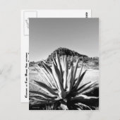 Century bij Fort Davis Briefkaart (Voorkant / Achterkant)