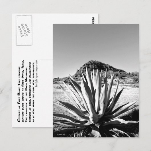 Century bij Fort Davis Briefkaart (Voorkant / Achterkant)