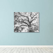 "Century Oak" Black and White Wall Art Canvas Afdruk (Insitu (Houten vloer))