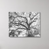 "Century Oak" Black and White Wall Art Canvas Afdruk (Voorkant)