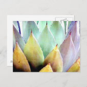 Century Plant nr. 1 Briefkaart (Voorkant / Achterkant)