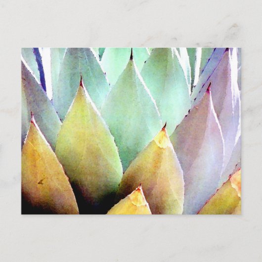 Century Plant nr. 1 Briefkaart (Voorkant)