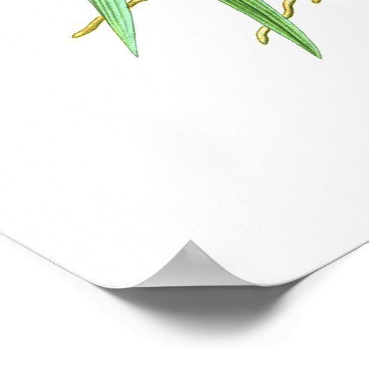 Cephalanthera rubra poster (Hoek)