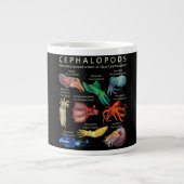 Cephalopod Octopus Squid Cuttlefish Grote Koffiekop (Voorkant)