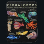 Cephalopod Octopus Squid Cuttlefish Inbakerdoek<br><div class="desc">Cephalopod Octopus Squid Cuttlefish</div>