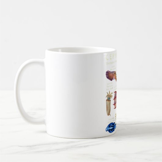 Cephalopod Octopus Squid Cuttlefish Koffiemok (Links)