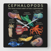 Cephalopod Octopus Squid Cuttlefish Vierkante Klok (Voorkant)