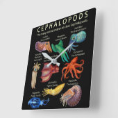 Cephalopod Octopus Squid Cuttlefish Vierkante Klok (Hoek)