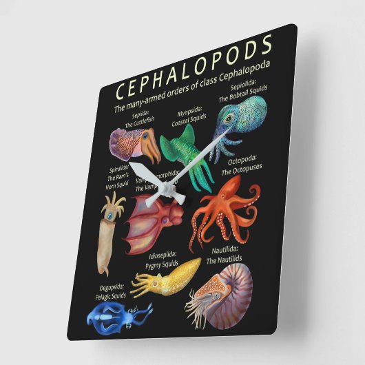 Cephalopod Octopus Squid Cuttlefish Vierkante Klok (Hoek)