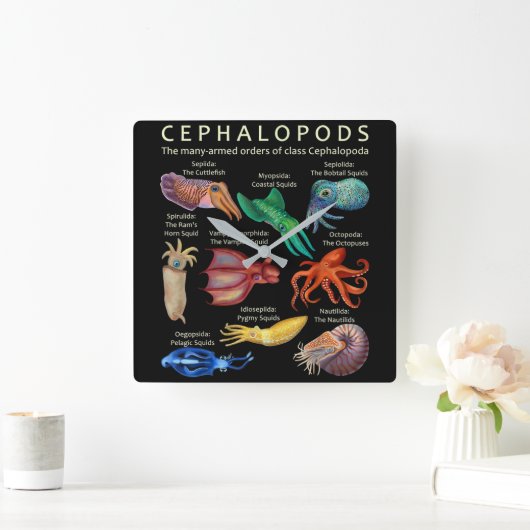 Cephalopod Octopus Squid Cuttlefish Vierkante Klok (Huis)