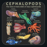 Cephalopod Octopus Squid Cuttlefish Vierkante Sticker<br><div class="desc">Cephalopod Octopus Squid Cuttlefish</div>