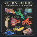 Cephalopod Octopus Squid Cuttlefish Vierkante Sticker<br><div class="desc">Cephalopod Octopus Squid Cuttlefish</div>