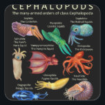 Cephalopod Octopus Squid Cuttlefish Vierkante Sticker<br><div class="desc">Cephalopod Octopus Squid Cuttlefish</div>