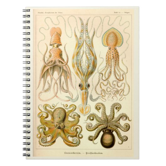 Cephalopod Octopus Squid Zee Notitieboek (Voorkant)