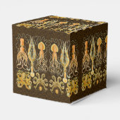 Cephalopoda octopus inktvis mariene Natuur Bedankdoosjes (Achterkant)