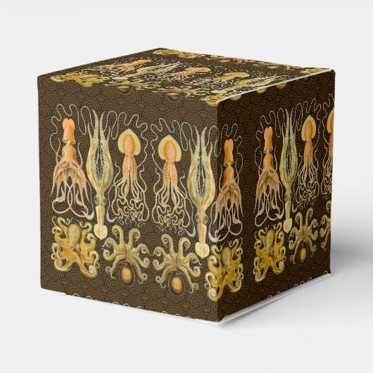 Cephalopoda octopus inktvis mariene Natuur Bedankdoosjes (Achterkant)