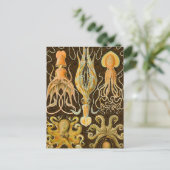 Cephalopoda octopus inktvis mariene Natuur Briefkaart (Staand voorkant)