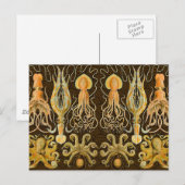 Cephalopoda octopus inktvis mariene Natuur Briefkaart (Voorkant / Achterkant)