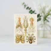 Cephalopoda octopus inktvis mariene Natuur Briefkaart (Staand voorkant)