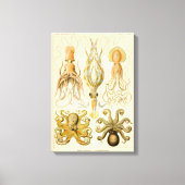 Cephalopoda octopus inktvis mariene Natuur Canvas Afdruk (Voorkant)