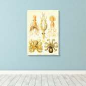 Cephalopoda octopus inktvis mariene Natuur Canvas Afdruk (Insitu (Houten vloer))