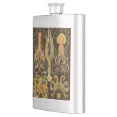 Cephalopoda octopus inktvis mariene Natuur Flacon (Links)