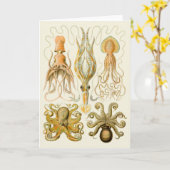 Cephalopoda octopus inktvis mariene Natuur Kaart (Gele Bloem)