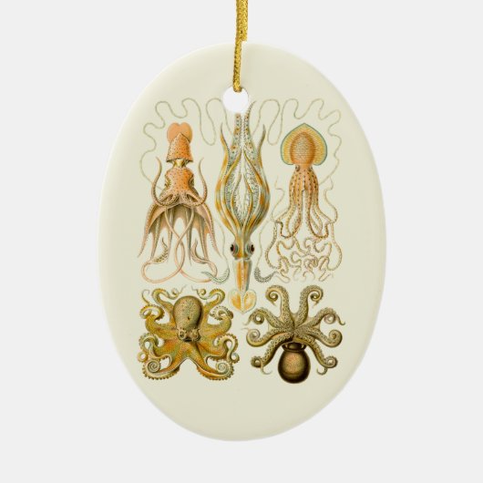 Cephalopoda octopus inktvis mariene Natuur Keramisch Ornament (Voorkant)