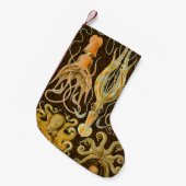 Cephalopoda octopus inktvis mariene Natuur Kleine Kerstsok (Voorkant (Hangend))