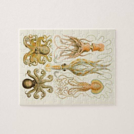 Cephalopoda octopus inktvis mariene Natuur Legpuzzel (Horizontaal)