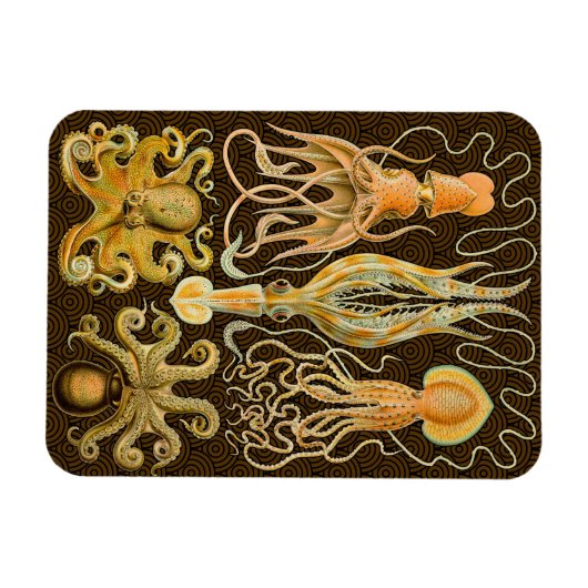 Cephalopoda octopus inktvis mariene Natuur Magneet (Horizontaal)