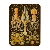 Cephalopoda octopus inktvis mariene Natuur Magneet (Verticaal)