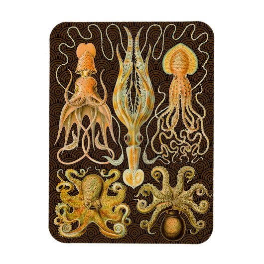 Cephalopoda octopus inktvis mariene Natuur Magneet (Verticaal)