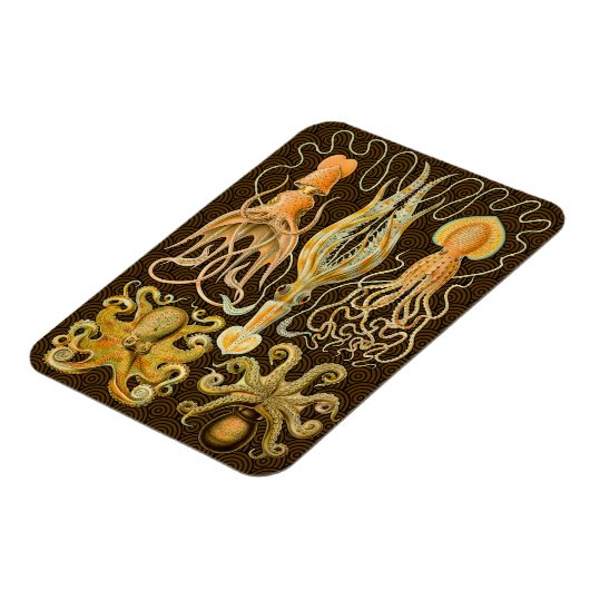 Cephalopoda octopus inktvis mariene Natuur Magneet (Linkerzijde)