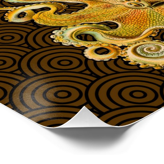 Cephalopoda octopus inktvis mariene Natuur Perfect Poster (Hoek)