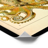 Cephalopoda octopus inktvis mariene Natuur Poster (Hoek)