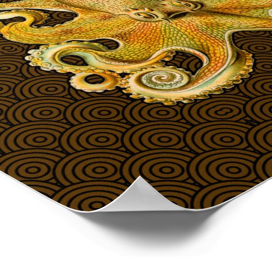 Cephalopoda octopus inktvis mariene Natuur Poster (Hoek)