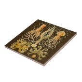 Cephalopoda octopus inktvis mariene Natuur Tegeltje (Zijkant)