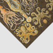 Cephalopoda octopus inktvis mariene Natuur Tissuepapier (Detail)